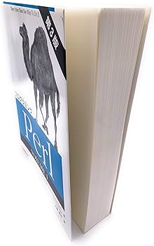 JavaScript　C実践プログラミング　入門Cocoa　初めてのPerl 51fVuDYzFjL.jpg